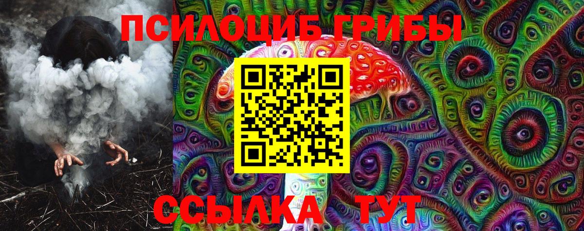 Галлюциногенные грибы Psilocybe  Вход с VPN  купить наркотик  Грозный  Галлюциногенные грибы Psilocybine cubensis 