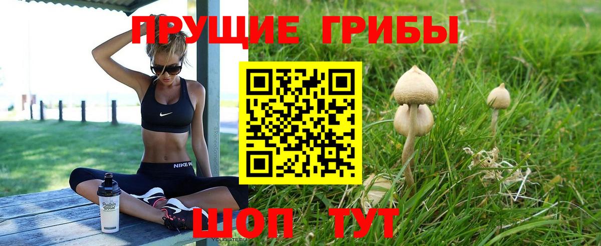 МЕФ Грозный