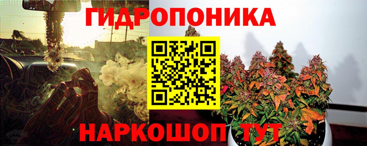 Канабис индика  Вход с VPN  Грозный  Бошки марихуана White Widow 